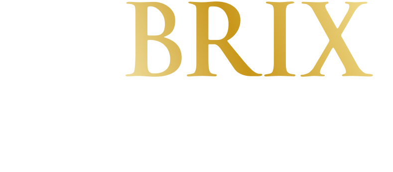 BrixWise Logo